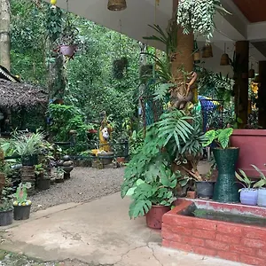 Homestay Jungleview, Idukki