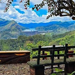 Lodge Dam View, Idukki